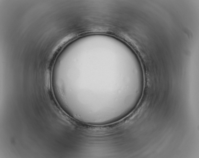 X0000114031171200910161813