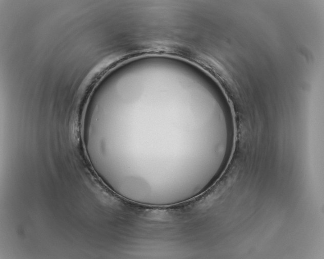 X0000114031172200910161813