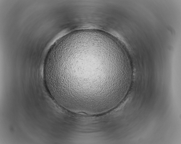 X0000114031173200910161813