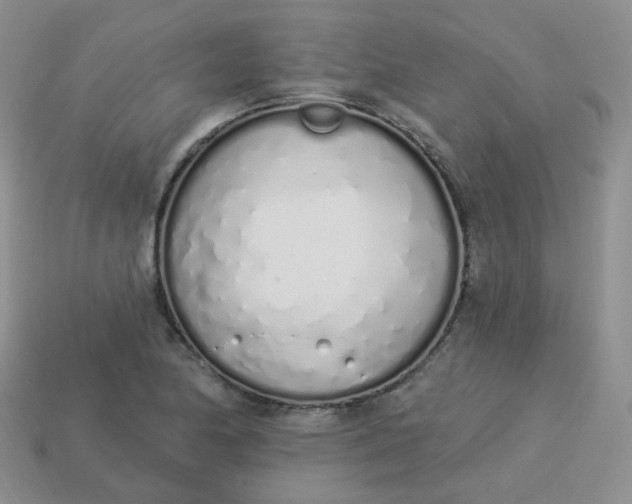 X0000114031174200910161813