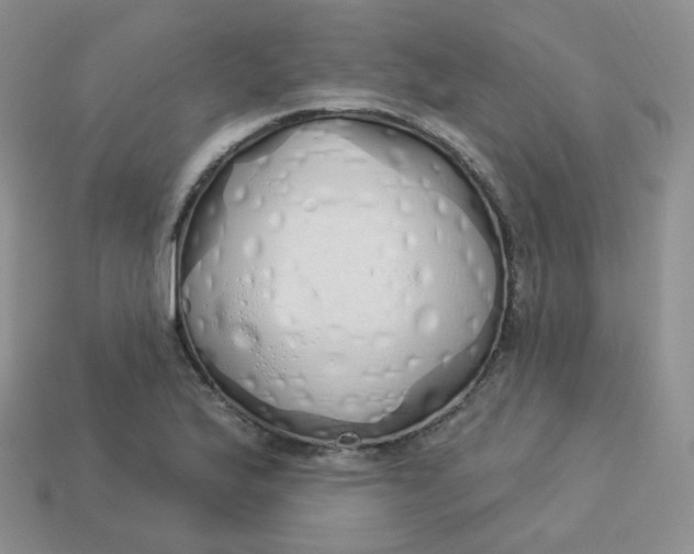 X0000114031175200910161813