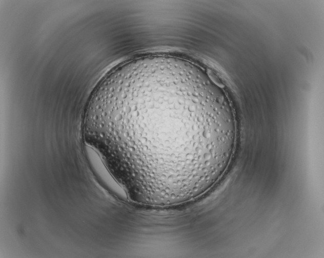 X0000114031177200910161813