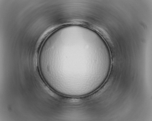 X0000114031180200910161813