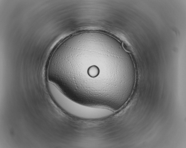 X0000114031181200910161813