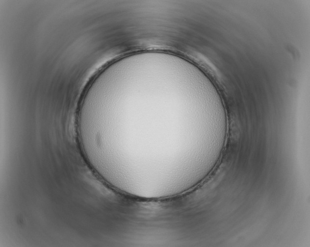 X0000114031182200910161813