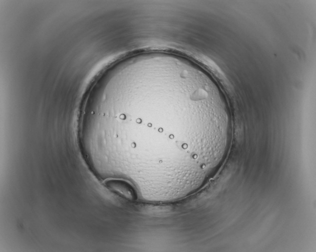 X0000114031183200910161813