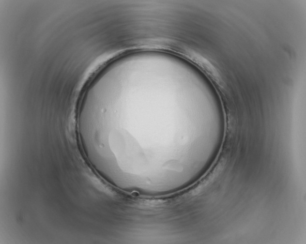 X0000114031184200910161813