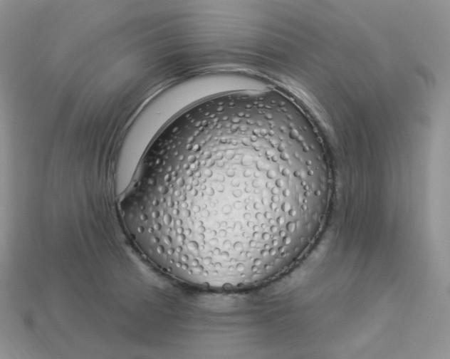 X0000114031185200910161813