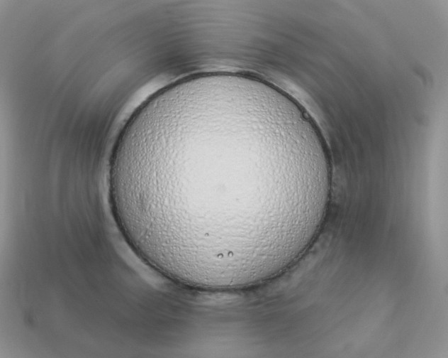 X0000114031187200910161813