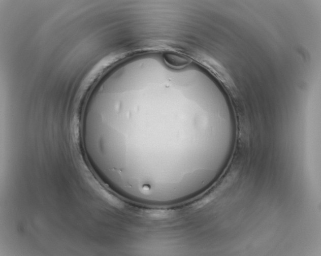 X0000114031188200910161813