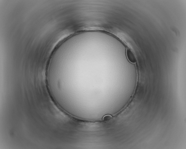 X0000114031189200910161813