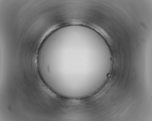 X0000114031190200910161813