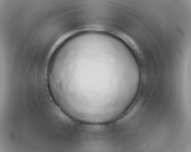 X0000114031192200910161812