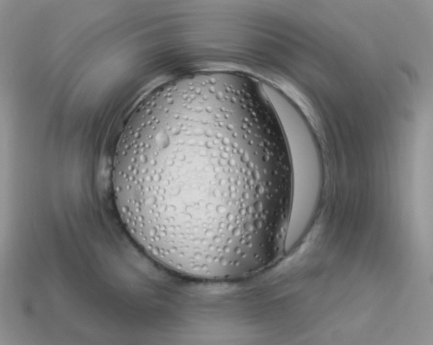 X0000114031193200910161812