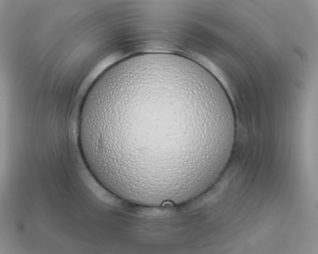 X0000114031195200910161812