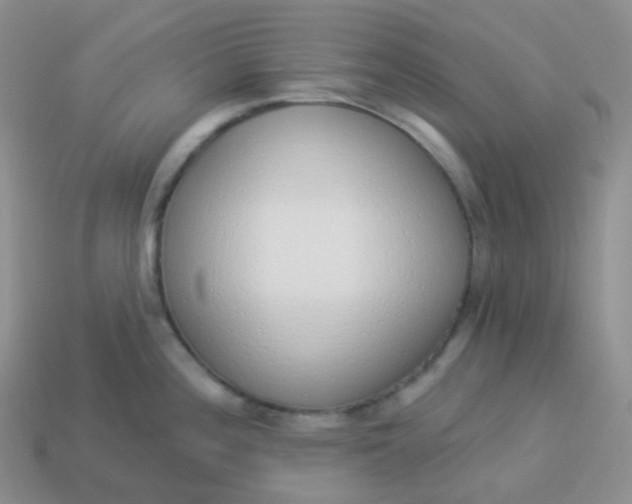 X0000114031196200910161812