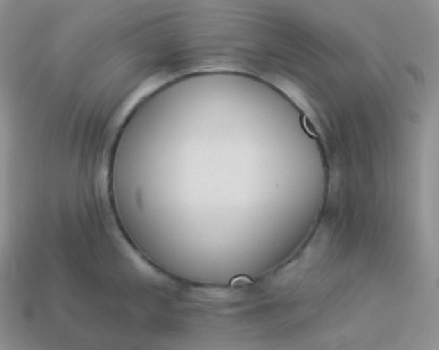 X0000114031197200910161812