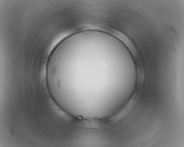 X0000114031198200910161812