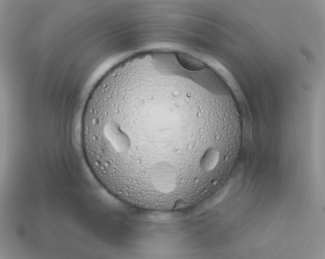 X0000114031199200910161812