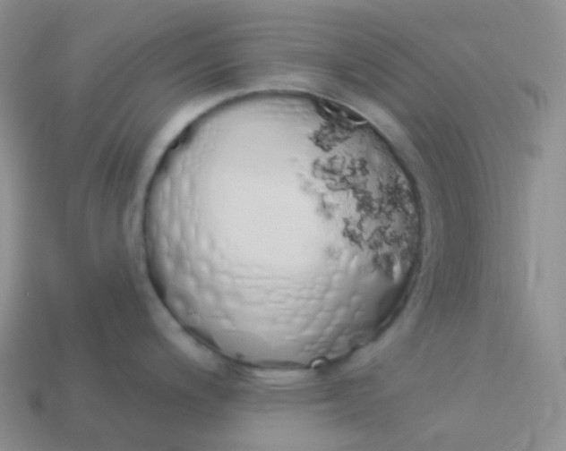 X0000114031200200910161812