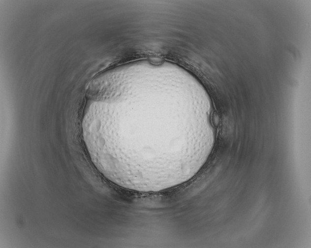 X0000114031201200910161812