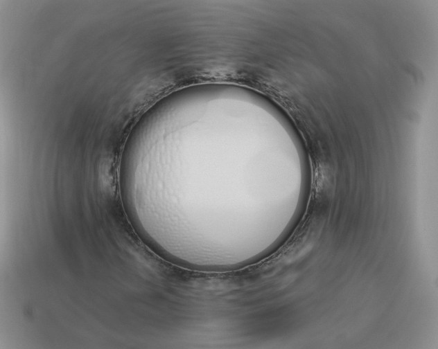 X0000114031202200910161812