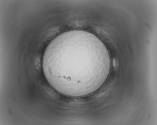 X0000114031203200910161812