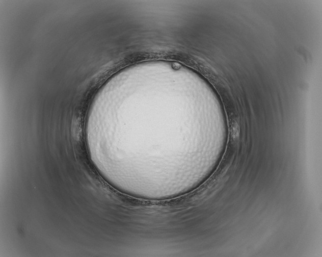 X0000114031204200910161812