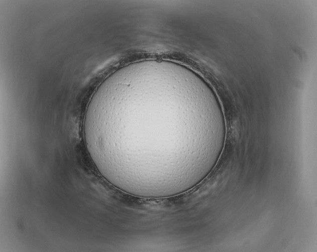 X0000114031205200910161812