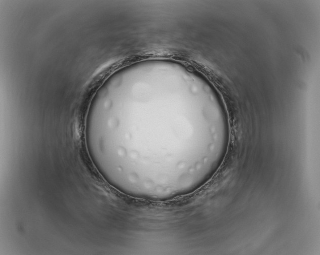 X0000114031206200910161812