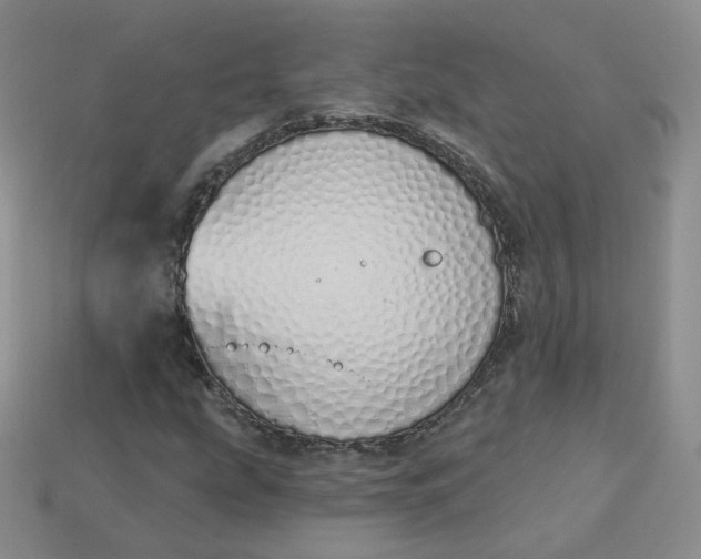 X0000114031207200910161812