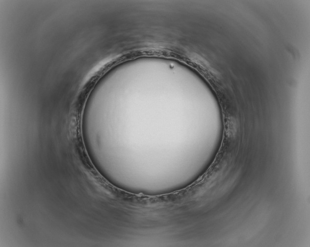 X0000114031208200910161812