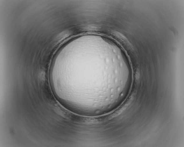 X0000114031209200910161812