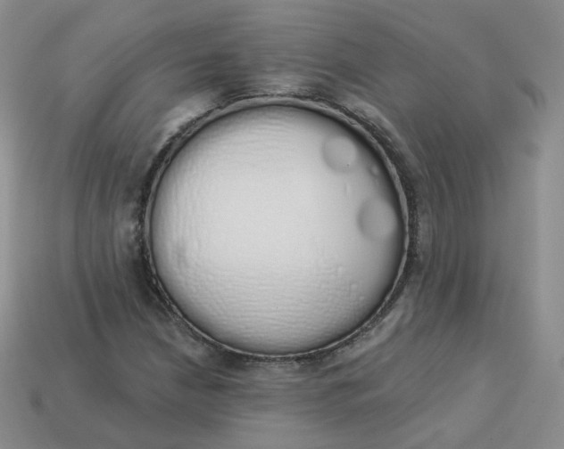 X0000114031210200910161812