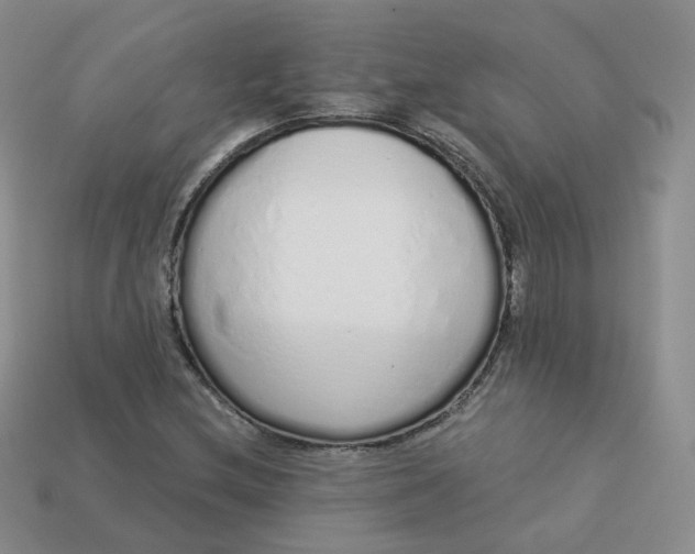 X0000114031212200910161812