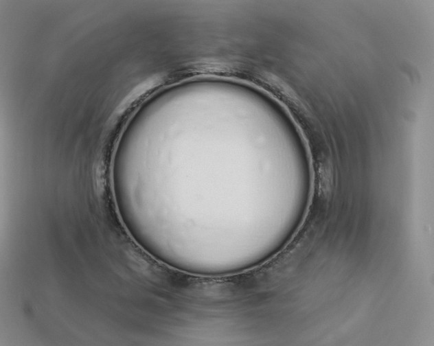 X0000114031213200910161812