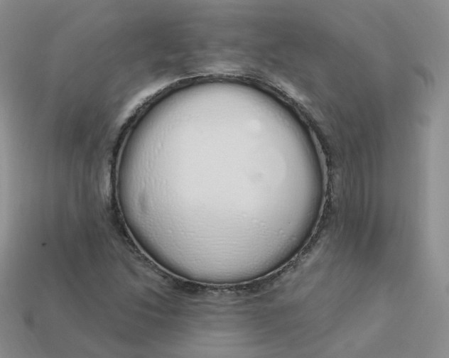 X0000114031214200910161812