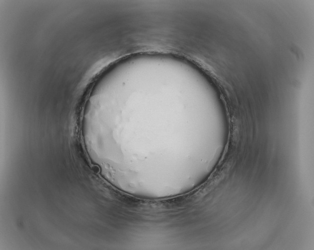 X0000114031215200910161812