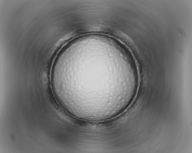 X0000114031218200910161812