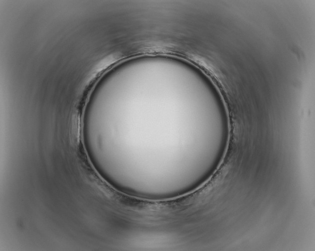 X0000114031219200910161812