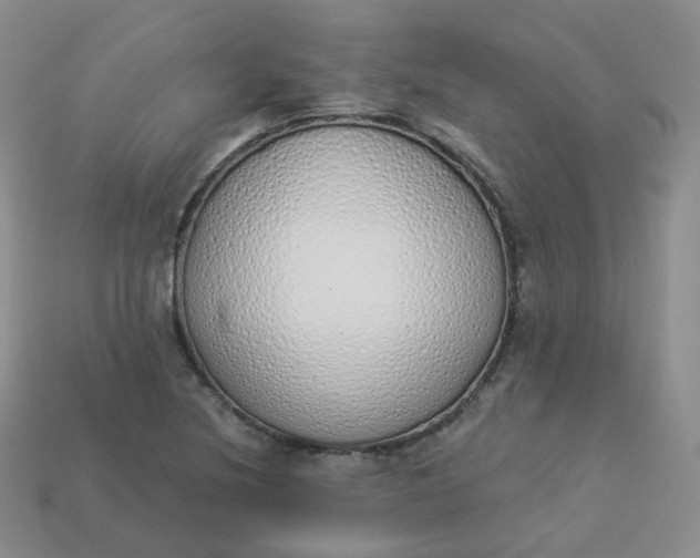 X0000114031220200910161812