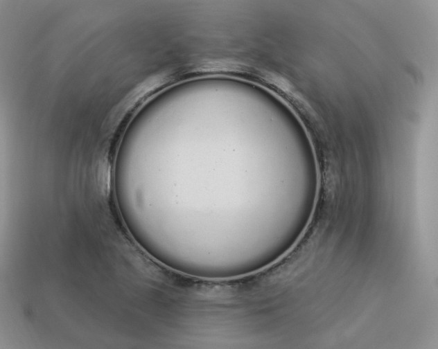 X0000114031221200910161812