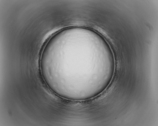 X0000114031222200910161812