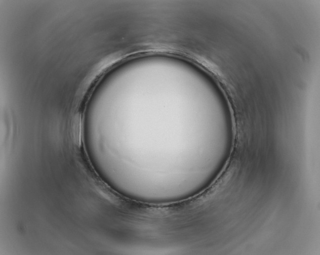 X0000114031223200910161812