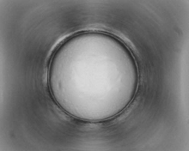 X0000114031224200910161812