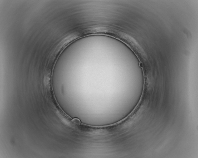 X0000114031225200910161812