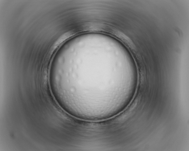 X0000114031226200910161812