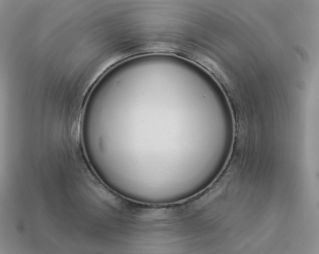 X0000114031228200910161812