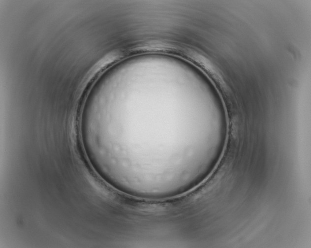 X0000114031229200910161812