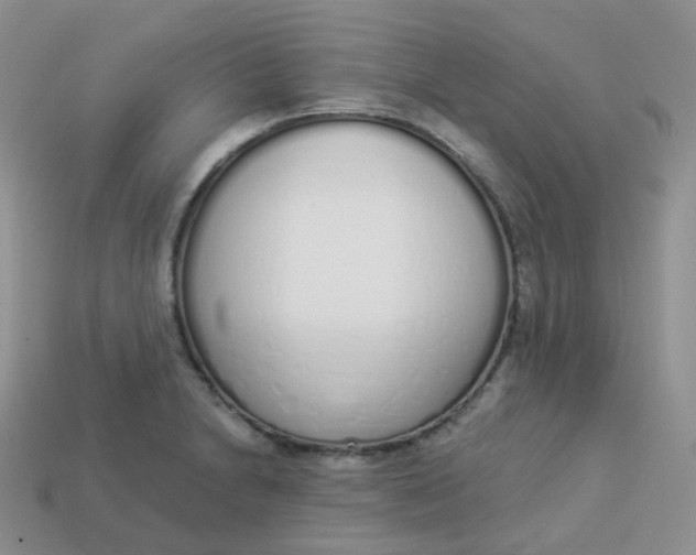 X0000114031230200910161812